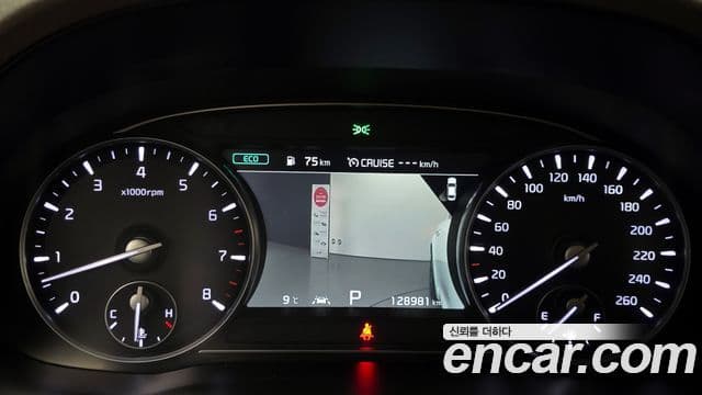 Kia The / новый K9 PlatinumⅠ, 2019 8