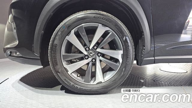 Lexus NX300h Supreme, 2019 все фото