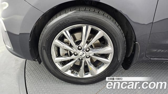 Kia The / новый New Carnival VIP, 2020 все фото