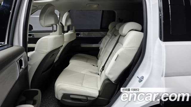 Hyundai Santa Fe (MX5) Calligraphy, 2024 12