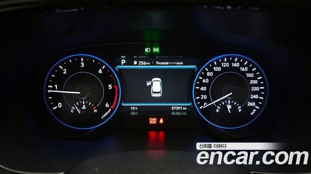 Hyundai Palisade Prestige, 2022 8