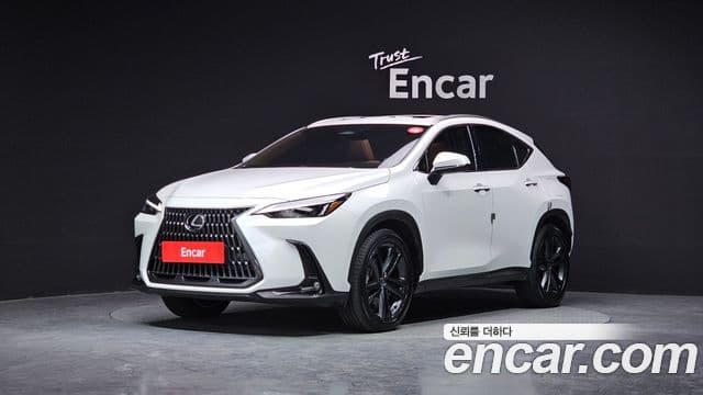Lexus NX350h 2세대 Premium, 2025 1