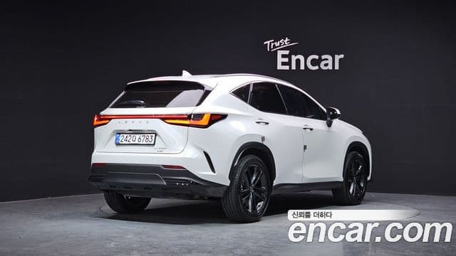 Lexus NX350h 2세대 Premium, 2025 2