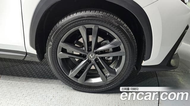 Lexus NX350h 2세대 Premium, 2025 все фото