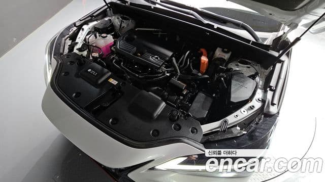 Lexus NX350h 2세대 Premium, 2025 6