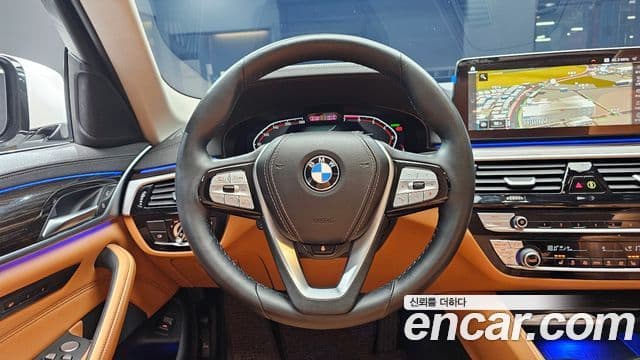 BMW 5시리즈 (G30) Luxury, 2023 13