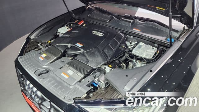 Audi Q8 (4M) Premium, 2023 6