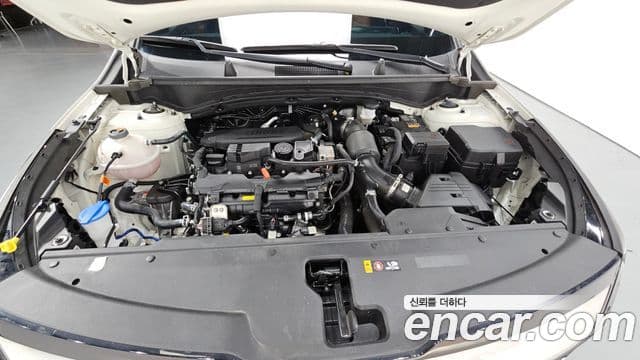 Kia Sportage 5세대 Signature, 2024 6