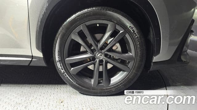 Lexus NX350h 2세대 Premium, 2023 все фото