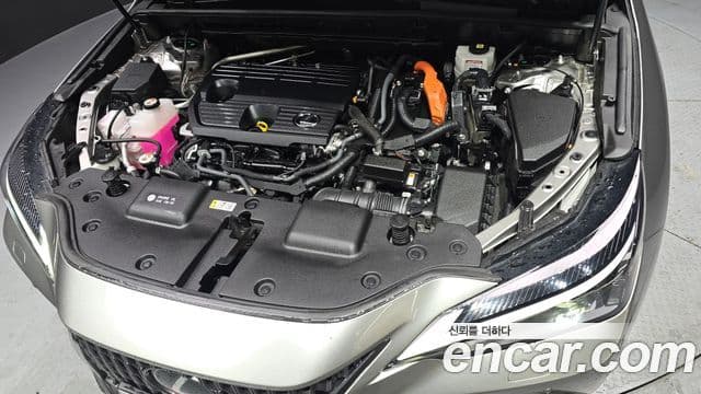 Lexus NX350h 2세대 Premium, 2023 6