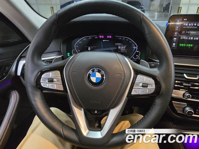 BMW 5시리즈 (G30) Luxury, 2023 15