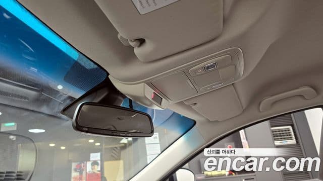 Renault Korea(Samsung) SM6 2.0 LPe LE (для людей с инвалидностью), 2017 19