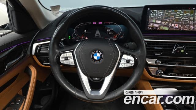 BMW 5시리즈 (G30) Luxury, 2021 13