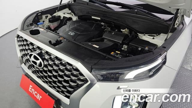 Hyundai Palisade VIP, 2021 6