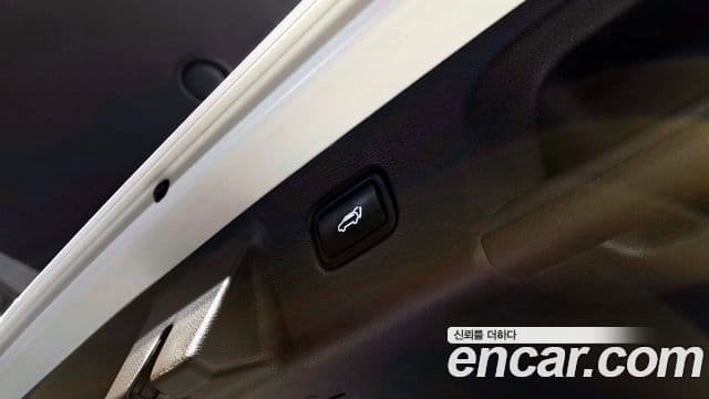 Hyundai Palisade VIP, 2021 20