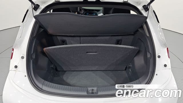 Chevrolet(GM대우) 볼트 EV EV LT Deluxe, 2018 20