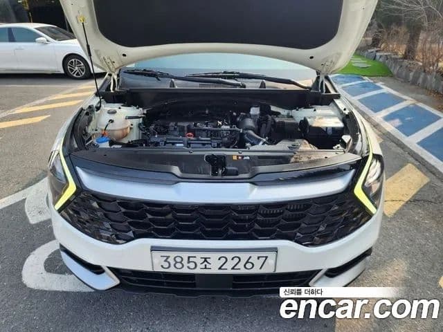 Kia Sportage 5세대 Trendy, 2022 8