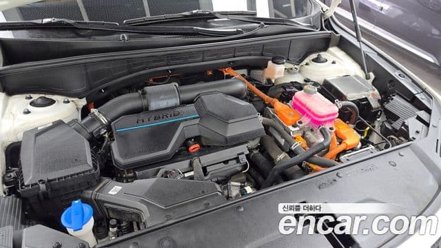 Kia Sorento 4세대 Gravity, 2021 6