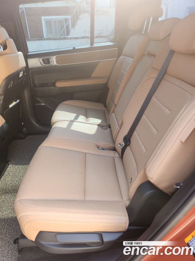 Hyundai Santa Fe (MX5) Calligraphy, 2024 9