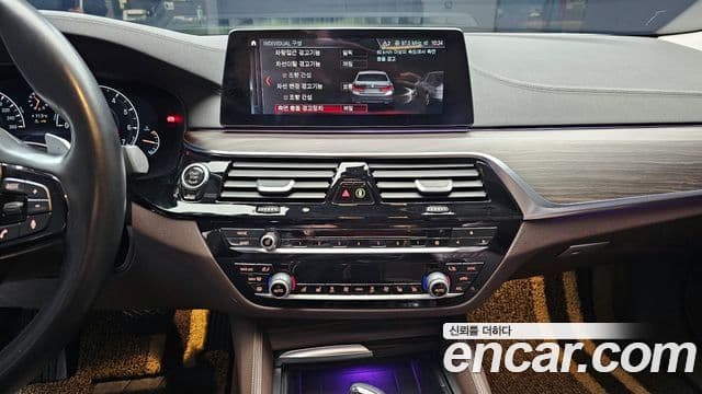 BMW 5시리즈 (G30) 530i xDrive Luxury Plus, 2019 14