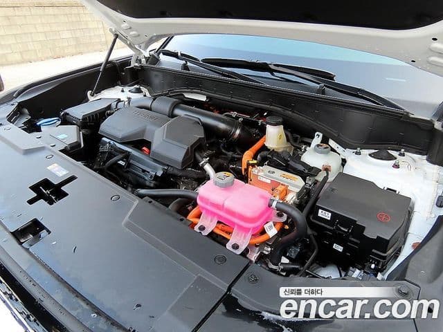 Hyundai Santa Fe (MX5) Calligraphy, 2025 19