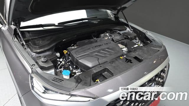 Hyundai Santa Fe TM Exclusive, 2019 6