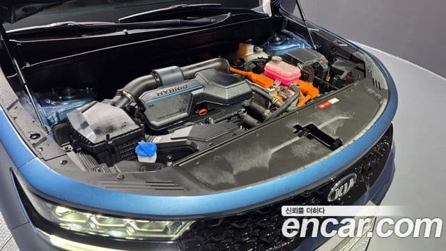 Kia Sorento 4세대 Gravity, 2021 6