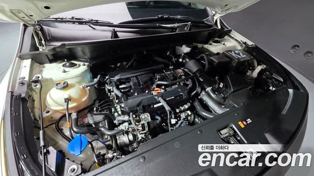 Kia Sportage 5세대 Prestige, 2022 6