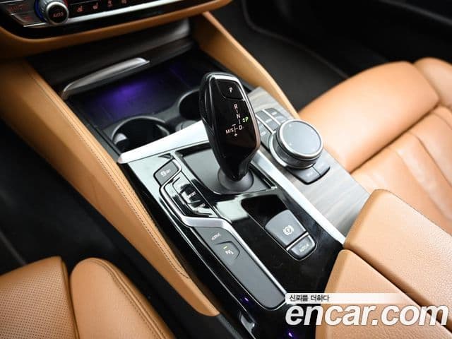 BMW 5시리즈 (G30) Luxury, 2020 9