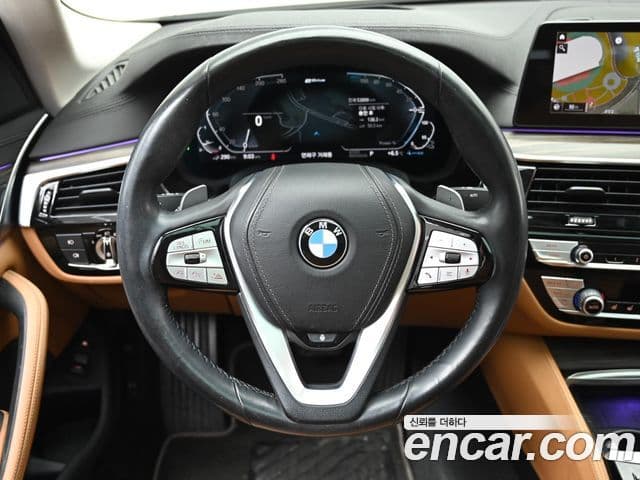 BMW 5시리즈 (G30) Luxury, 2020 13