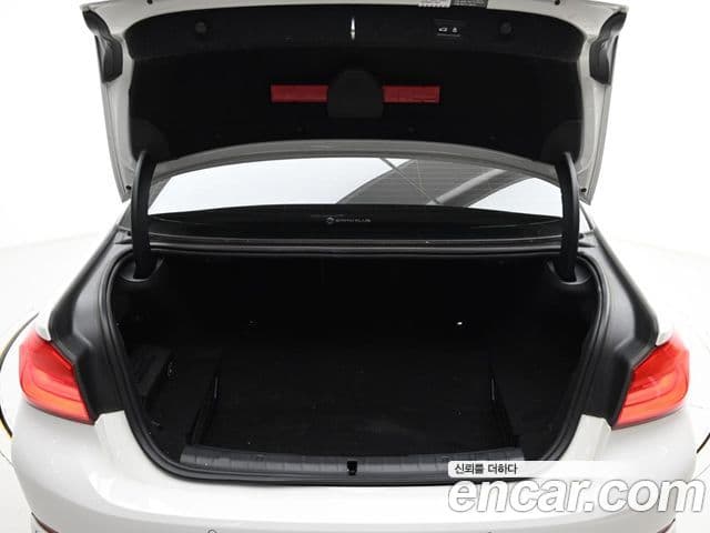 BMW 5시리즈 (G30) Luxury, 2020 20
