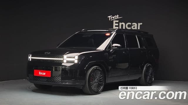 Hyundai Santa Fe (MX5) Calligraphy, 2024 1