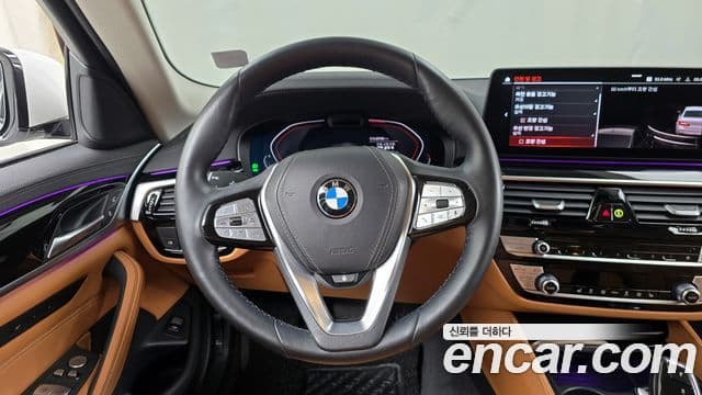 BMW 5시리즈 (G30) Luxury, 2022 13