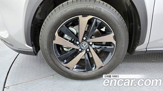 Lexus NX300h Executive, 2020 все фото