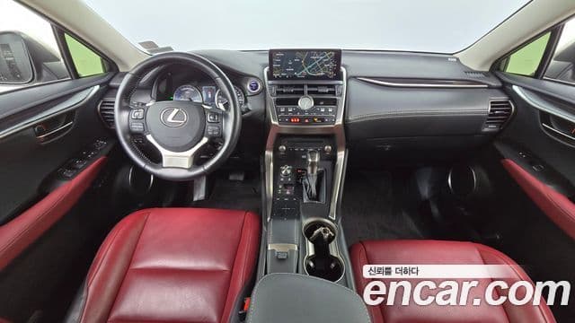 Lexus NX300h Executive, 2020 7