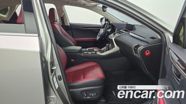 Lexus NX300h Executive, 2020 11