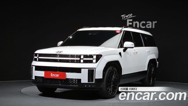 Hyundai Santa Fe (MX5) Calligraphy, 2024 1