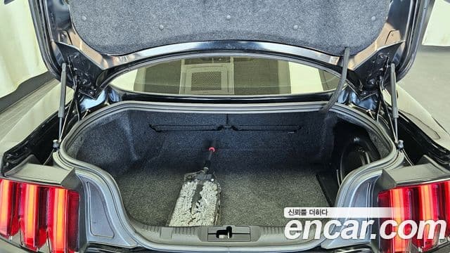 Ford Mustang GT купе, 2017 20