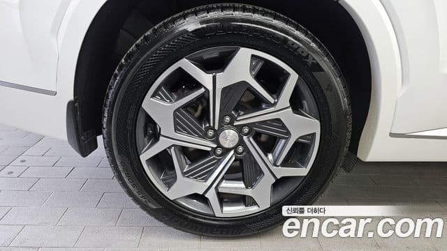 Hyundai Palisade Calligraphy, 2021 все фото