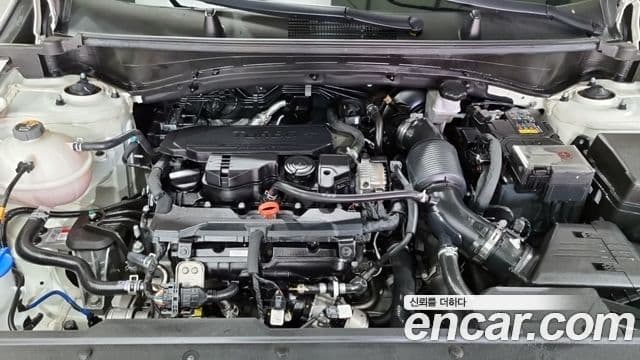 Kia Sportage 5세대 Signature, 2024 6