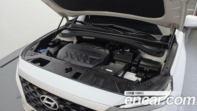 Hyundai Santa Fe TM Premium, 2019 6