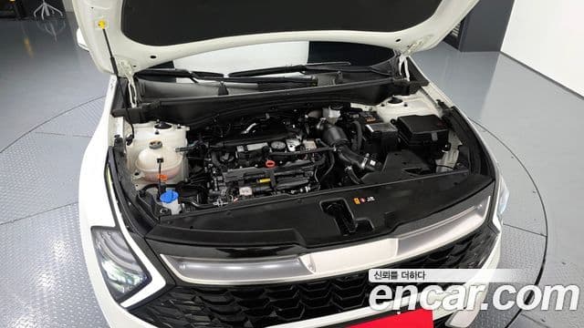 Kia Sportage 5세대 Signature, 2024 6