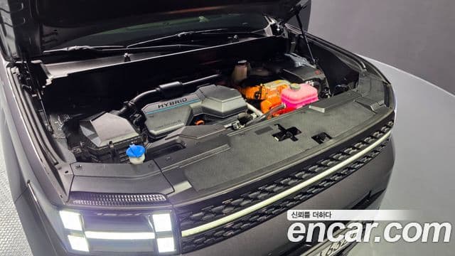 Hyundai Santa Fe (MX5) Calligraphy, 2024 6