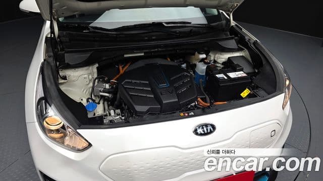 Kia Niro EV таксомоторный тип, 2020 6