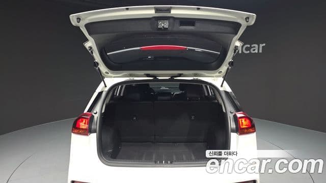 Kia Niro EV таксомоторный тип, 2020 20