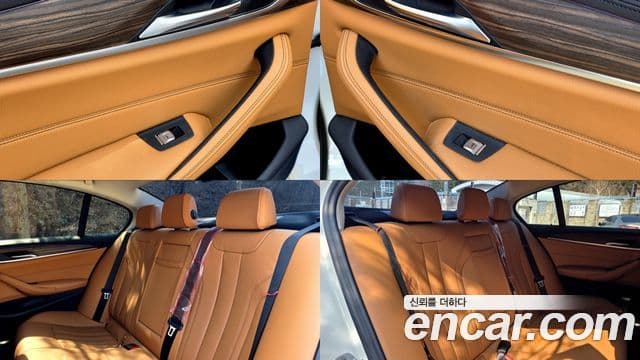 BMW 5시리즈 (G30) Luxury, 2020 13