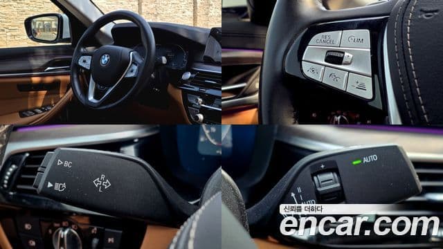 BMW 5시리즈 (G30) Luxury, 2020 14