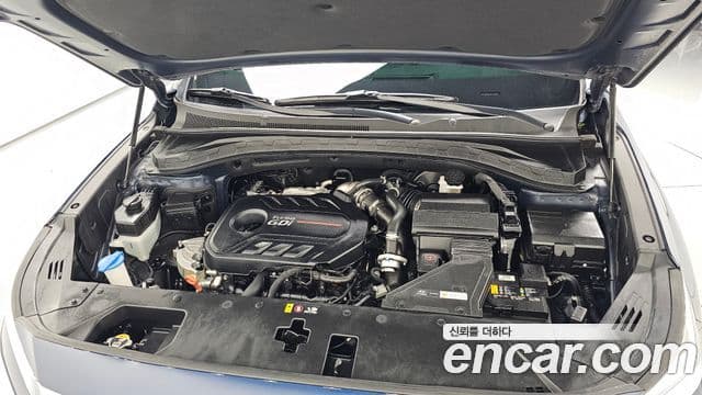 Hyundai Santa Fe TM Inspiration, 2020 6