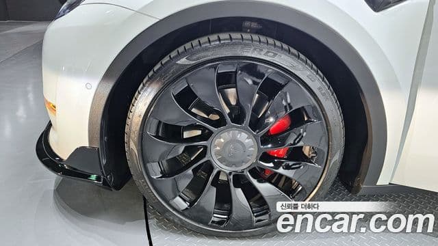 Tesla модель Y performance AWD, 2021 все фото