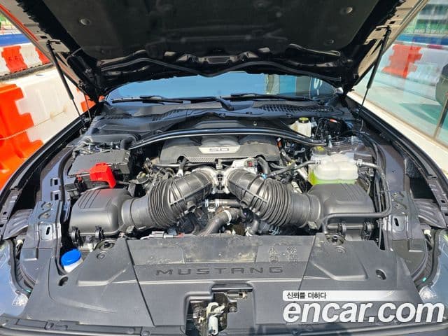 Ford Mustang 7세대 5.0 GT Premium кабриолет, 2024 11